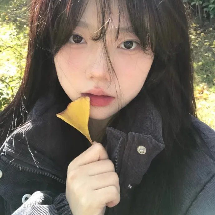 美国派2
